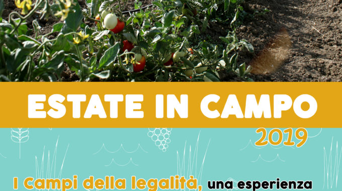 Campi Della Legalità 2019 – Estate In Campo!